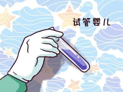 胚胎培养